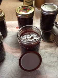 Fig jam