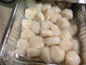 Scallops