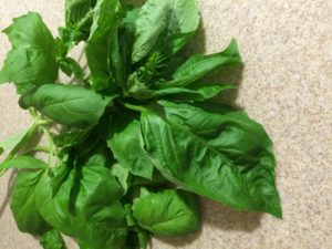 basil